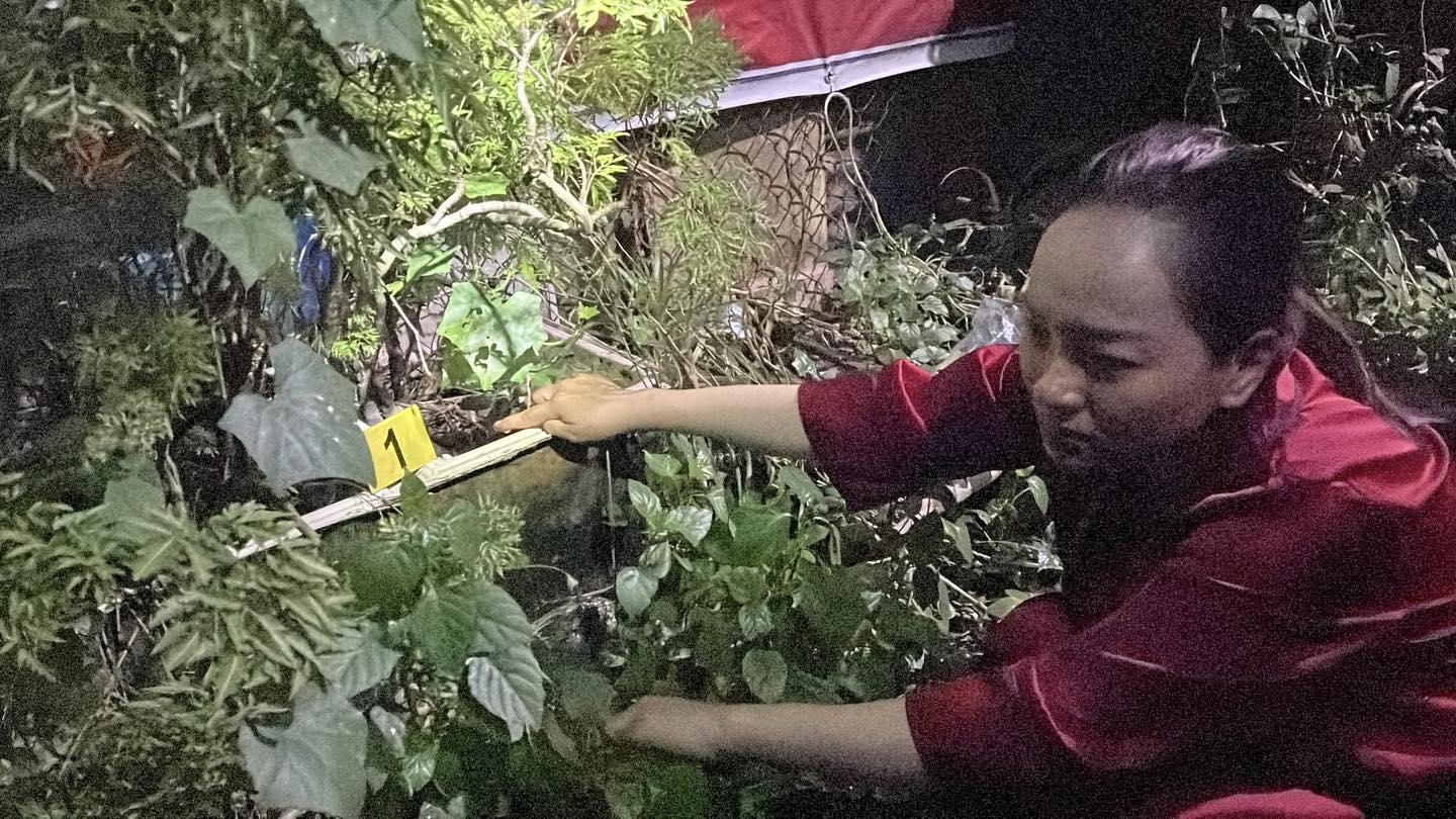 Bắt nữ giúp việc Trần Thị Thu Phương SN 1996- Ảnh 2.