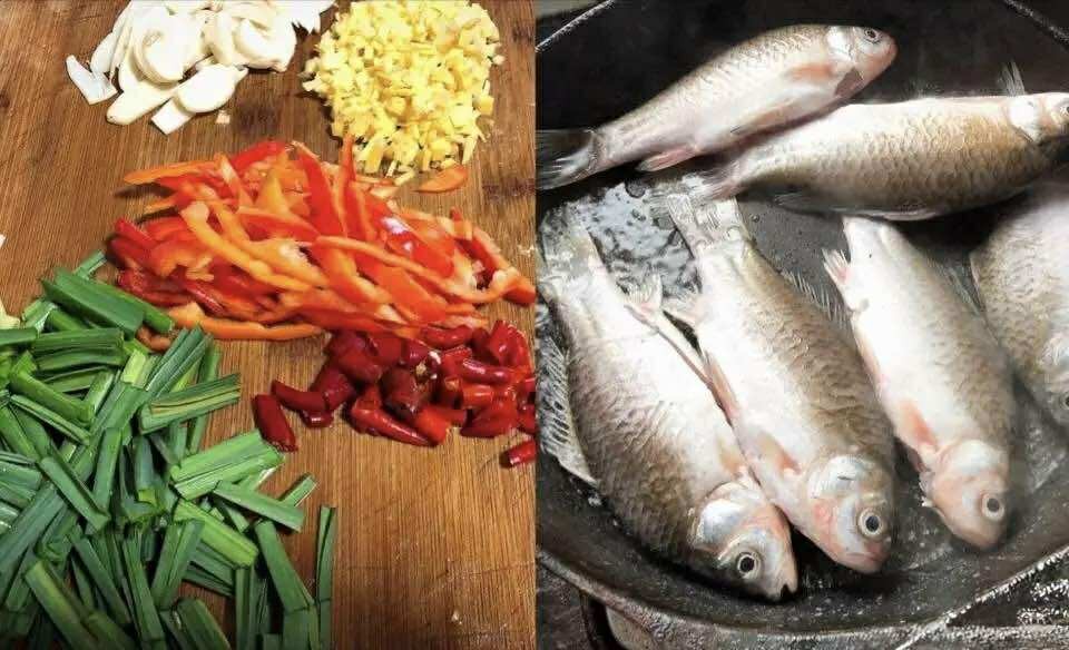 Người sành ăn sẽ ưu ái chọn 5 loại cá này vào mùa đông: Hương vị béo ngậy và ngon miệng lại rất dễ chế biến- Ảnh 1.