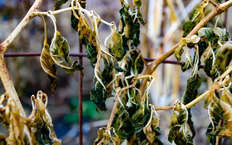 5 dấu hiệu cho thấy ngôi nhà nặng tà khí- Ảnh 2.