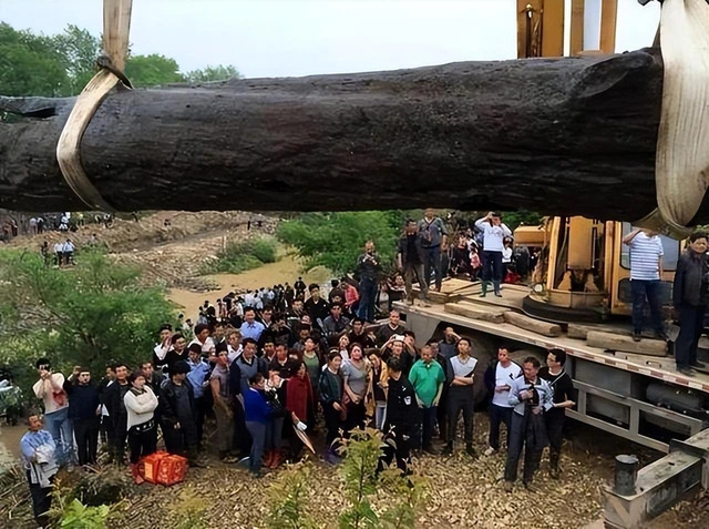 Người đàn ông đào được khúc gỗ đen sì tỏa ra mùi thơm, dài hơn 30m, nặng 60.000 kg: Cảnh sát lập tức phong tỏa hiện trường- Ảnh 2. Người đàn ông đào được khúc gỗ đen sì tỏa ra mùi thơm, dài hơn 30m, nặng 60.000 kg: Cảnh sát lập tức phong tỏa hiện trường- Ảnh 2.