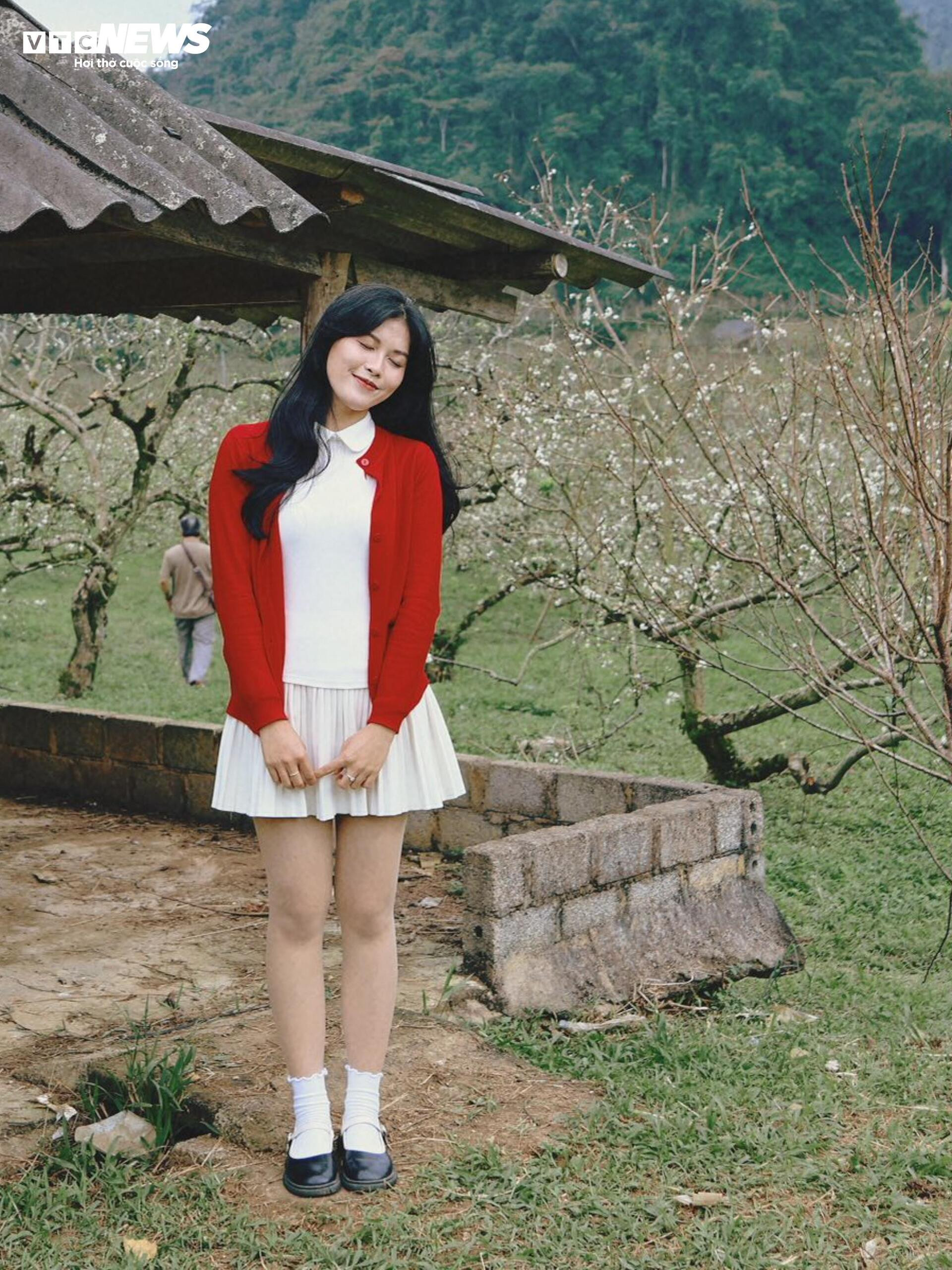 Hoa mận nở sớm, Mộc Châu toả sắc trắng tinh khôi giữa tháng 11- Ảnh 8.