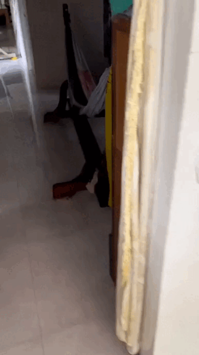 Đặc sản chỉ có ở miền Tây, cả nước không hiểu vì sao lại Đặc sản chỉ có ở miền Tây, cả nước không hiểu vì sao lại