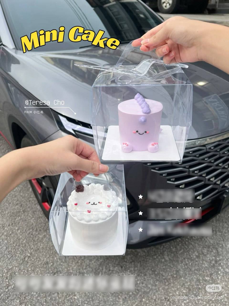 Chiếc bánh sinh nhật của Hải Tú- Ảnh 4.