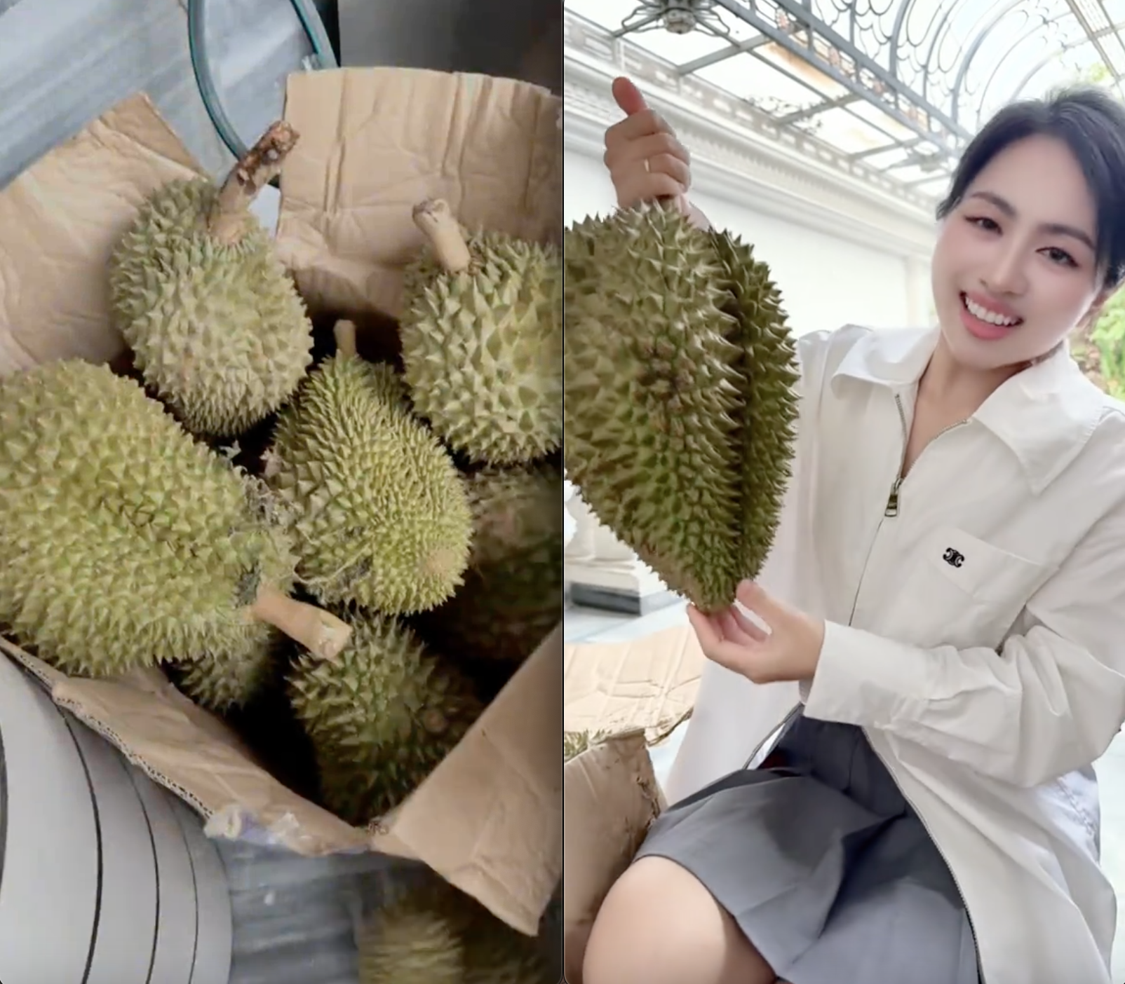 Số phận vườn sầu riêng nhà Mailisa- Ảnh 2.