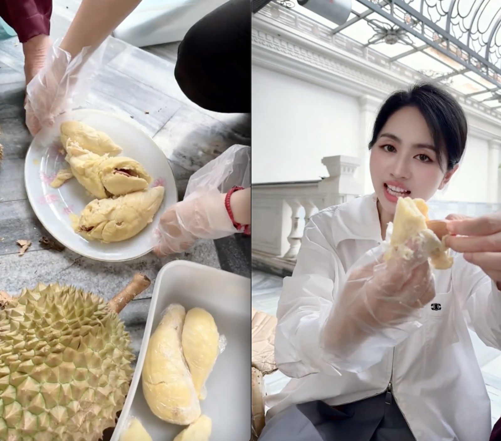 Số phận vườn sầu riêng nhà Mailisa- Ảnh 3.