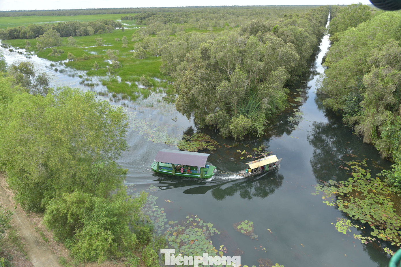 Hành trình đưa 'chất xưa' lại Đồng Tháp Mười gọi đón đàn sếu quý hiếm trở về- Ảnh 2.