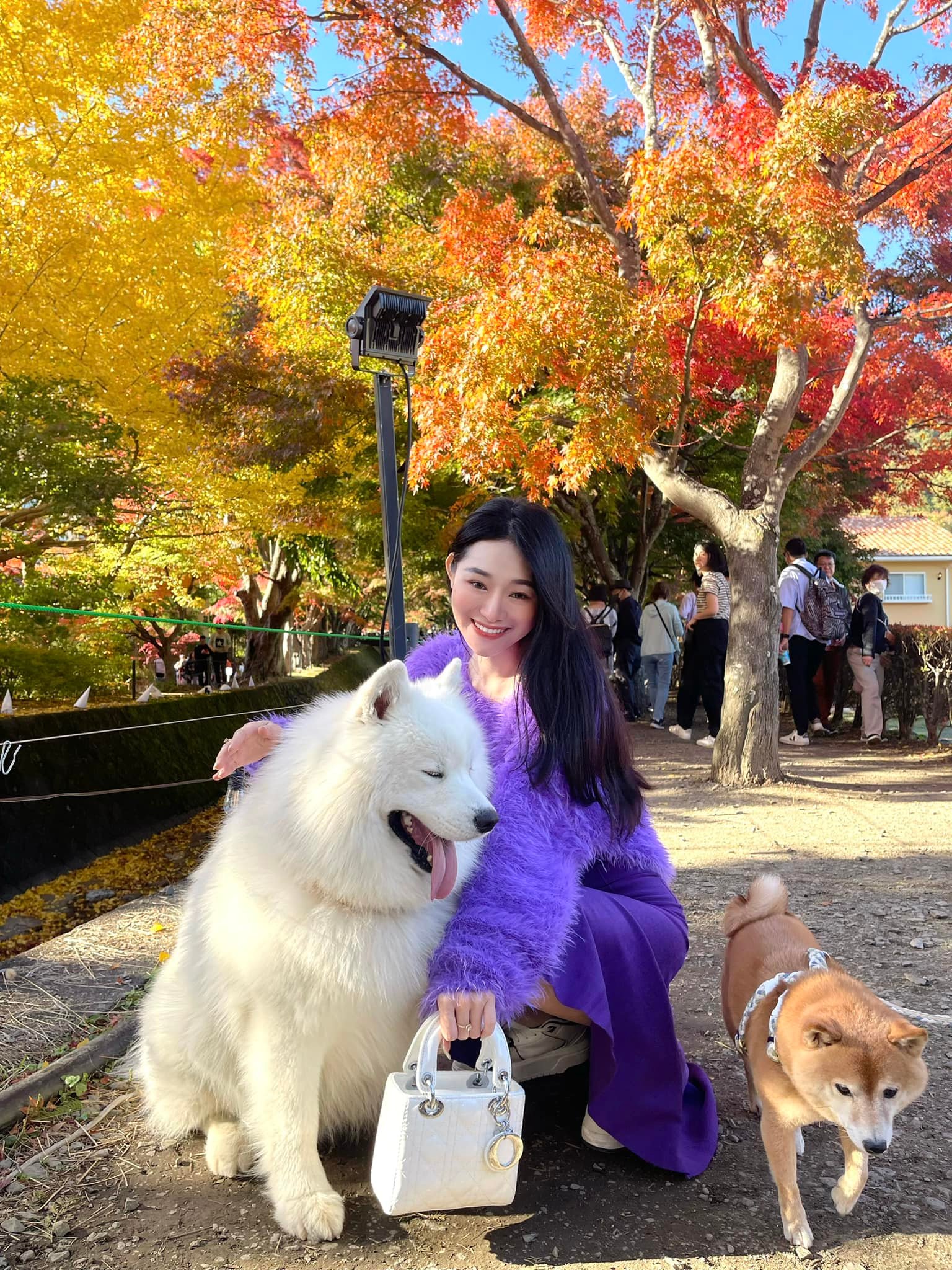 Thí sinh Olympia có màn lột xác đỉnh nhất lịch sử: Sau 10 năm tưởng biến thành người khác, còn thi cả Hoa hậu- Ảnh 6. Thí sinh Olympia có màn lột xác đỉnh nhất lịch sử: Sau 10 năm tưởng biến thành người khác, còn thi cả Hoa hậu- Ảnh 6.