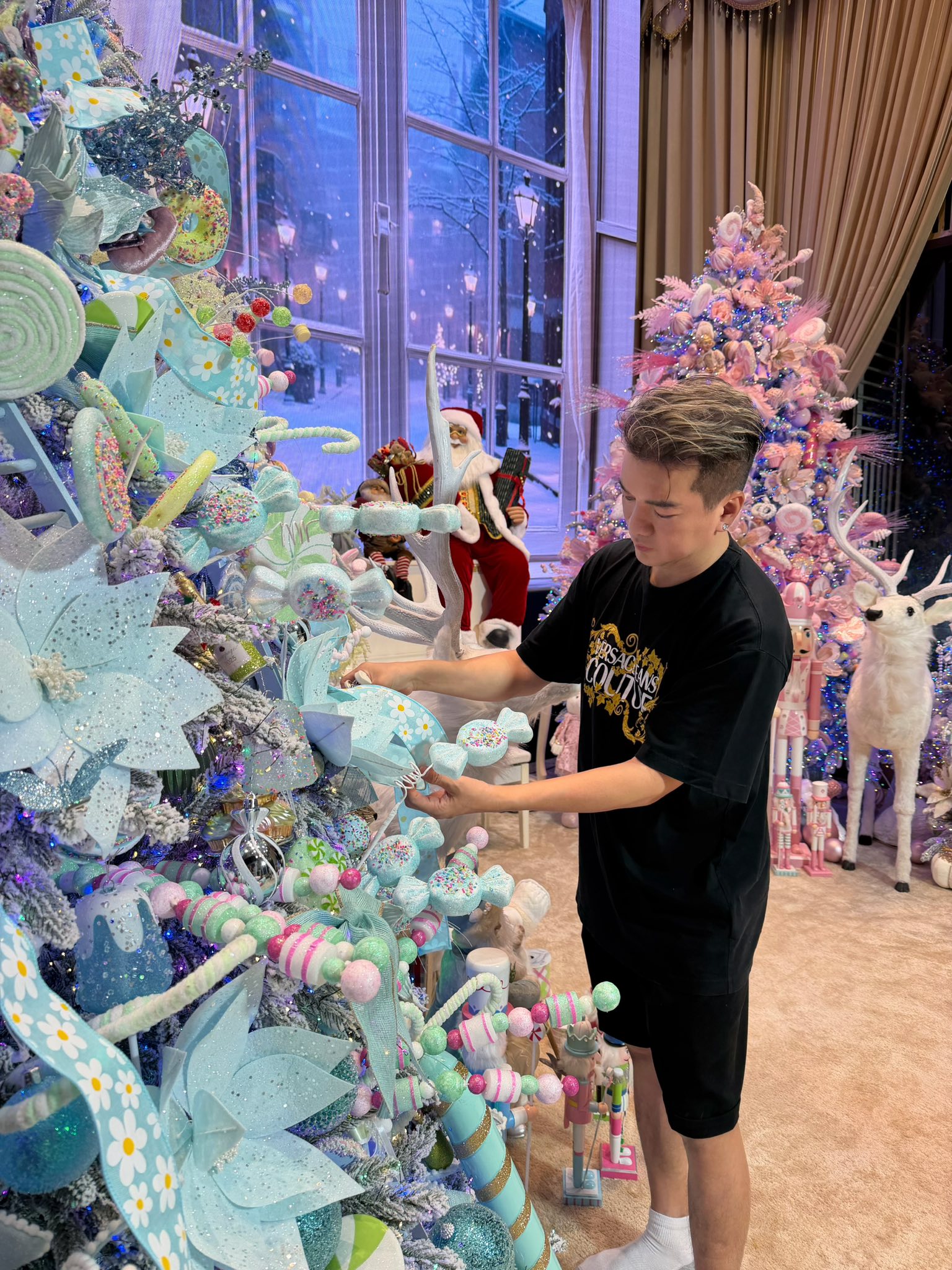 Đàm Vĩnh Hưng bán biệt thự trăm tỷ ở TP.HCM- Ảnh 4.