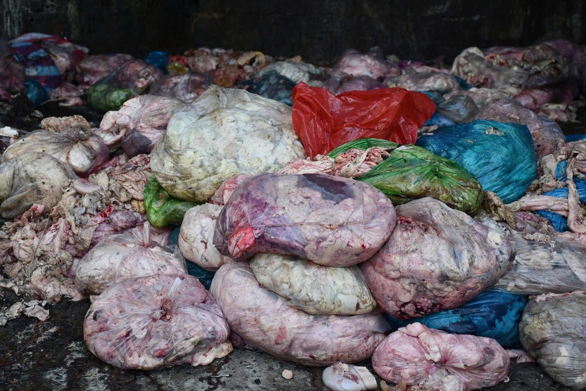 Rùng mình cảnh tượng bên trong cơ sở nấu mỡ bẩn giữa nghĩa trang: Hình ảnh khiến ai cũng kinh hãi- Ảnh 3.