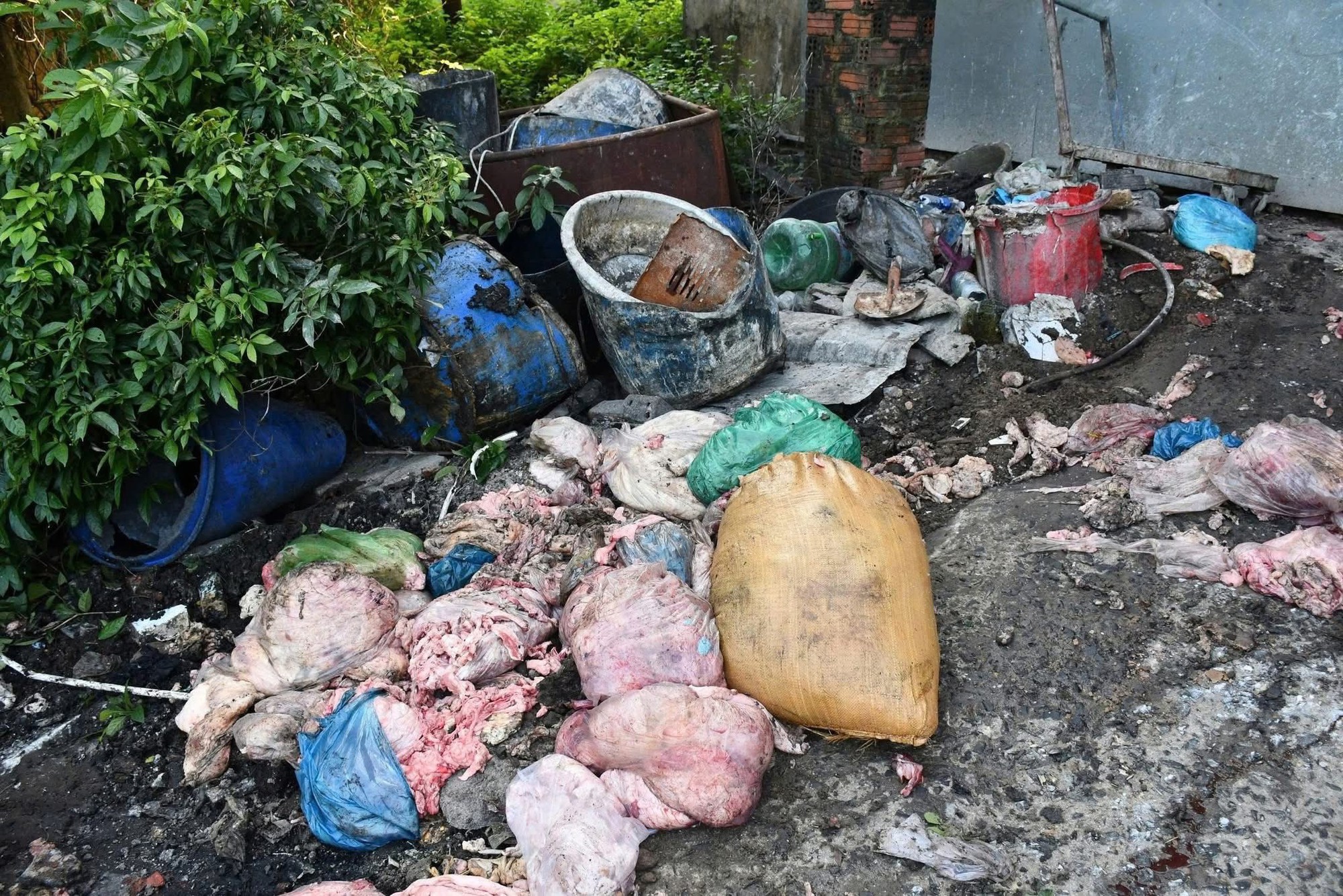 Rùng mình cảnh tượng bên trong cơ sở nấu mỡ bẩn giữa nghĩa trang: Hình ảnh khiến ai cũng kinh hãi- Ảnh 2.