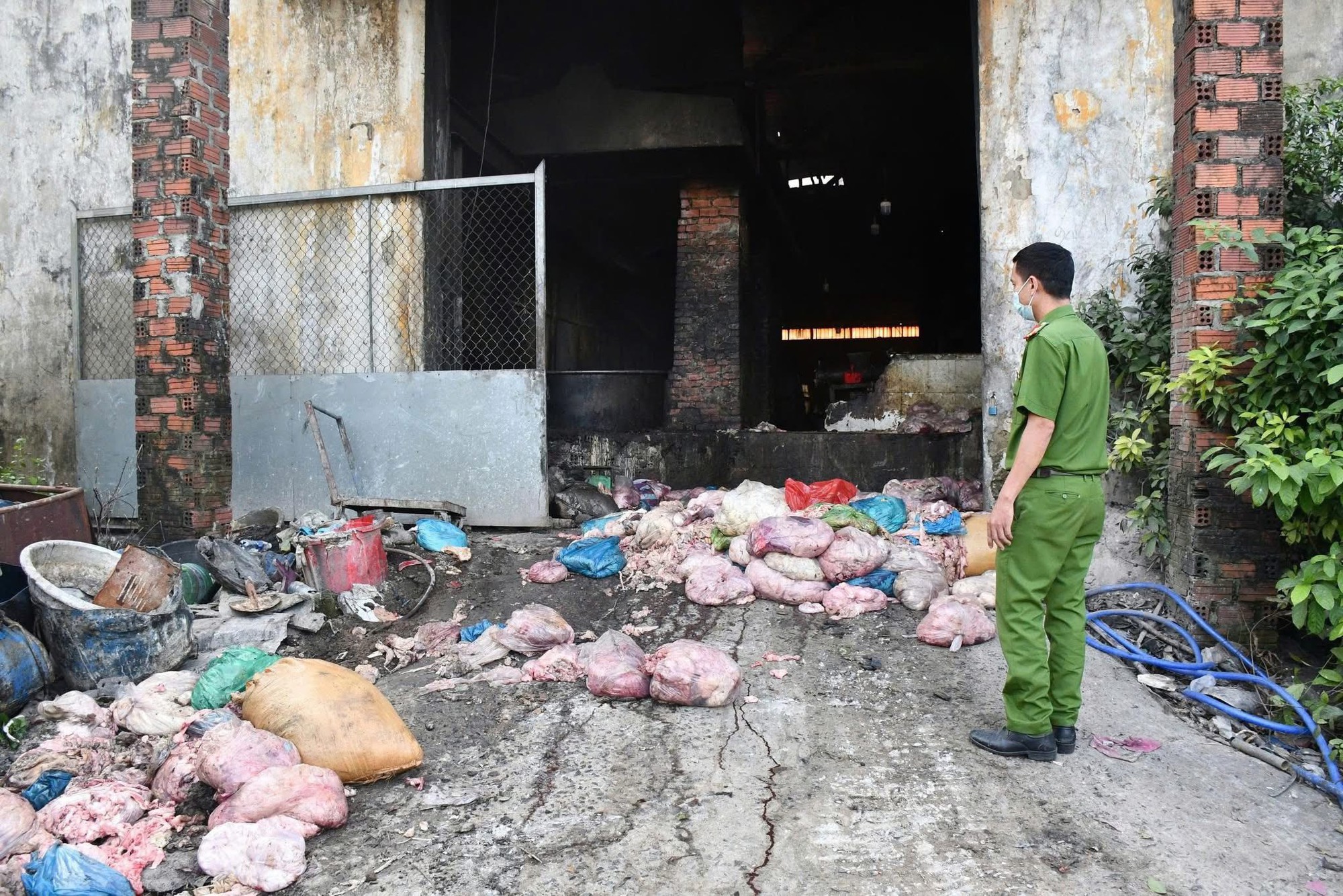 Rùng mình cảnh tượng bên trong cơ sở nấu mỡ bẩn giữa nghĩa trang: Hình ảnh khiến ai cũng kinh hãi- Ảnh 1.