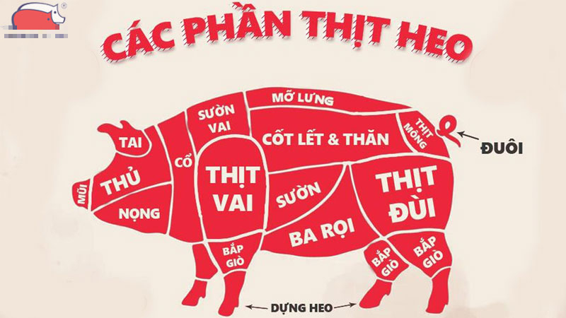 Làm sao để phân biệt thịt nạc nọng và thịt nạc vai heo? 5 điểm khác biệt này bạn phải biết- Ảnh 1.