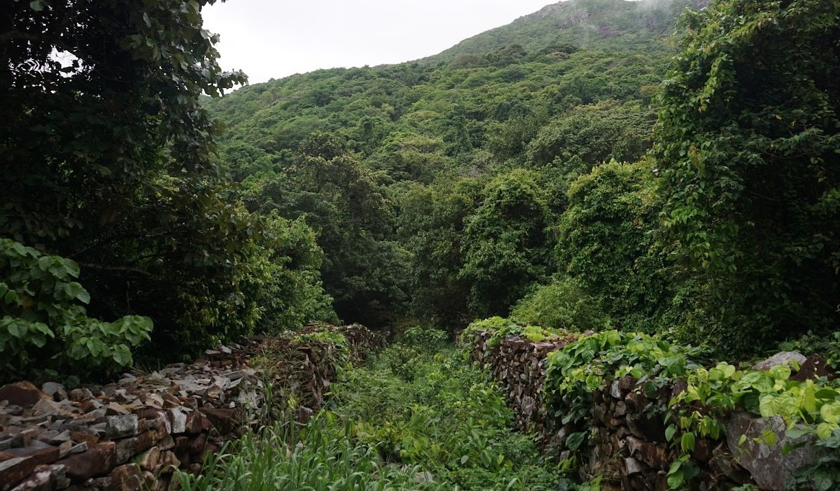 Cây cầu 'rùng rợn' ở Côn Đảo đón khách trở lại- Ảnh 6.