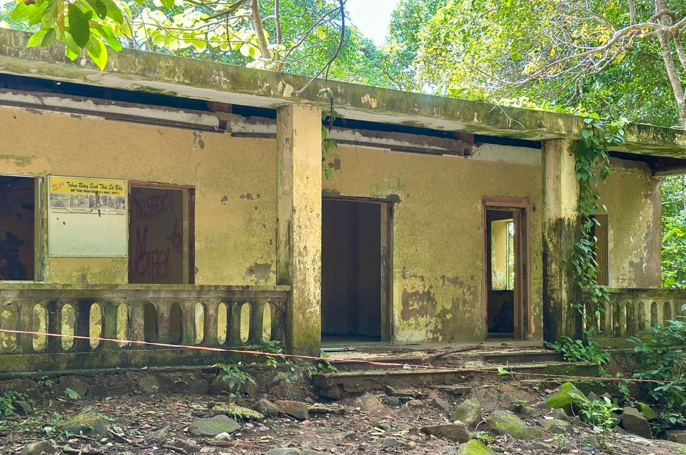 Cây cầu 'rùng rợn' ở Côn Đảo đón khách trở lại- Ảnh 8.