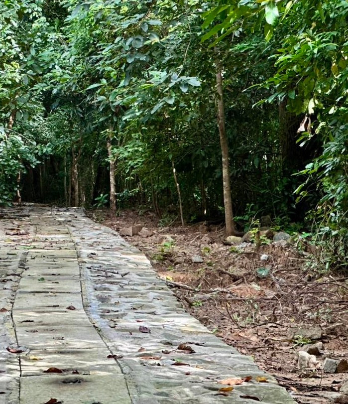 Cây cầu 'rùng rợn' ở Côn Đảo đón khách trở lại- Ảnh 5.