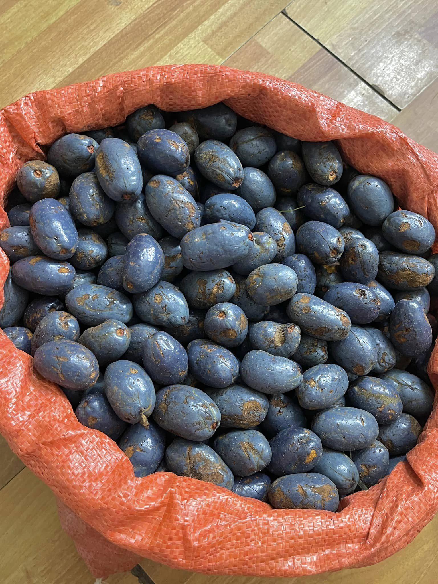 Thứ quả xanh đen là đặc sản chỉ Phú Thọ mới có, rẻ tiền nhưng khó mua- Ảnh 3.