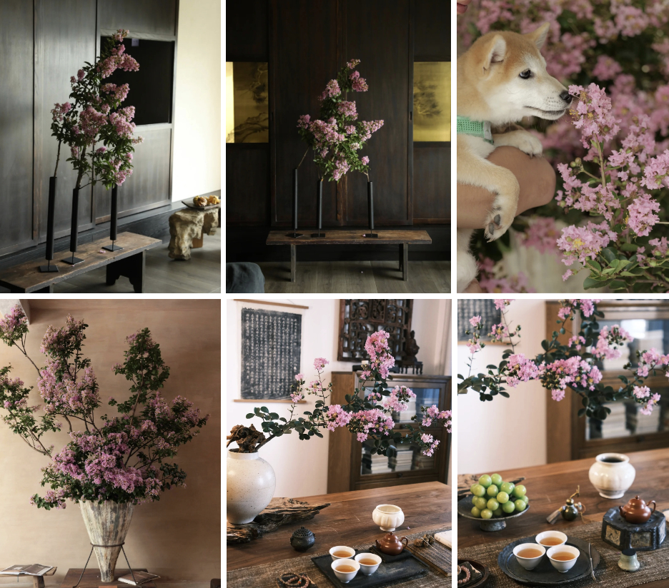 Mùa hoa này qua rồi, tôi cứ tiếc mãi: Chưng một bình trong nhà, phúc khí như tràn đầy, mọi sự an yên bền lâu- Ảnh 4.