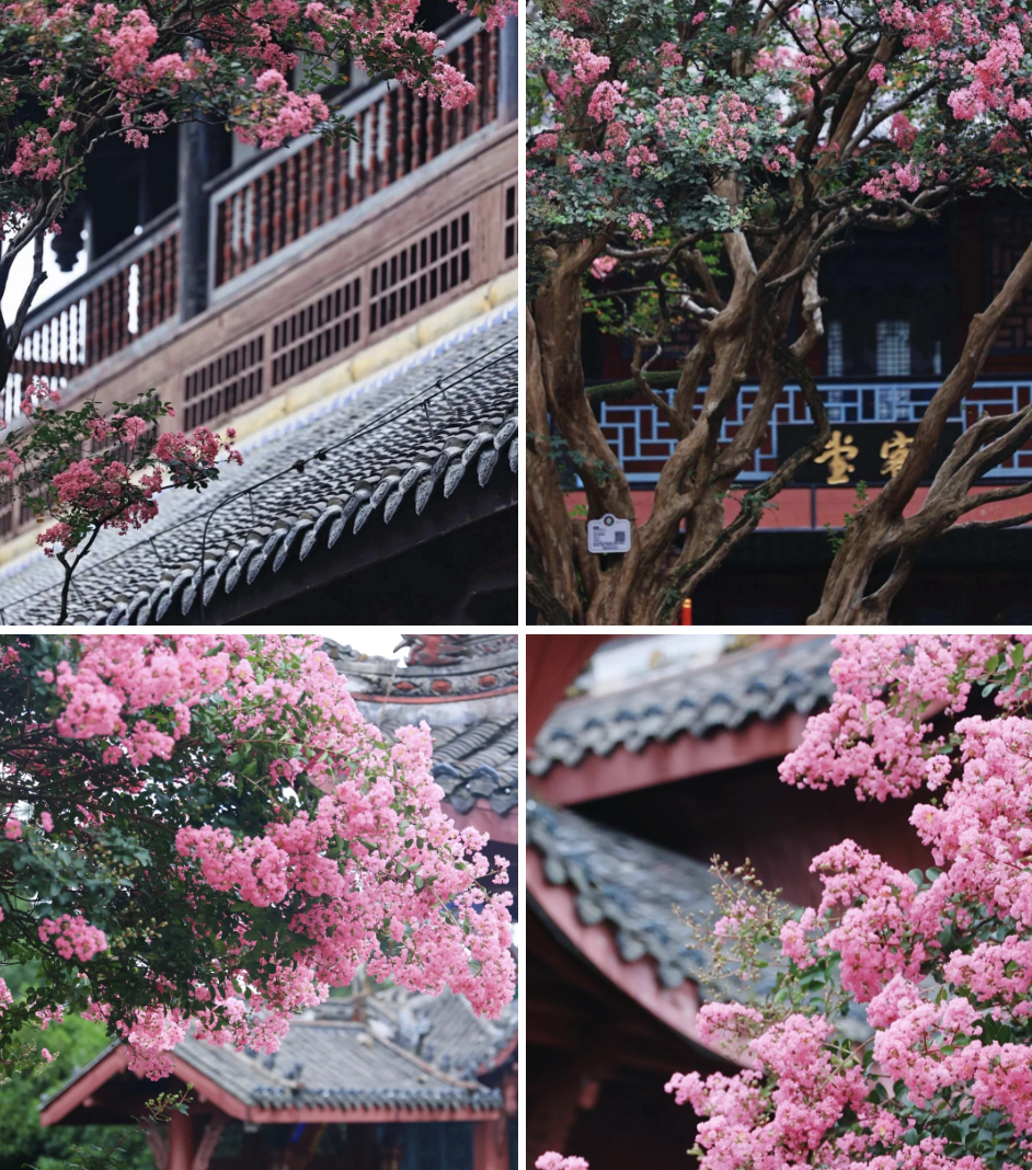 Mùa hoa này qua rồi, tôi cứ tiếc mãi: Chưng một bình trong nhà, phúc khí như tràn đầy, mọi sự an yên bền lâu- Ảnh 5.