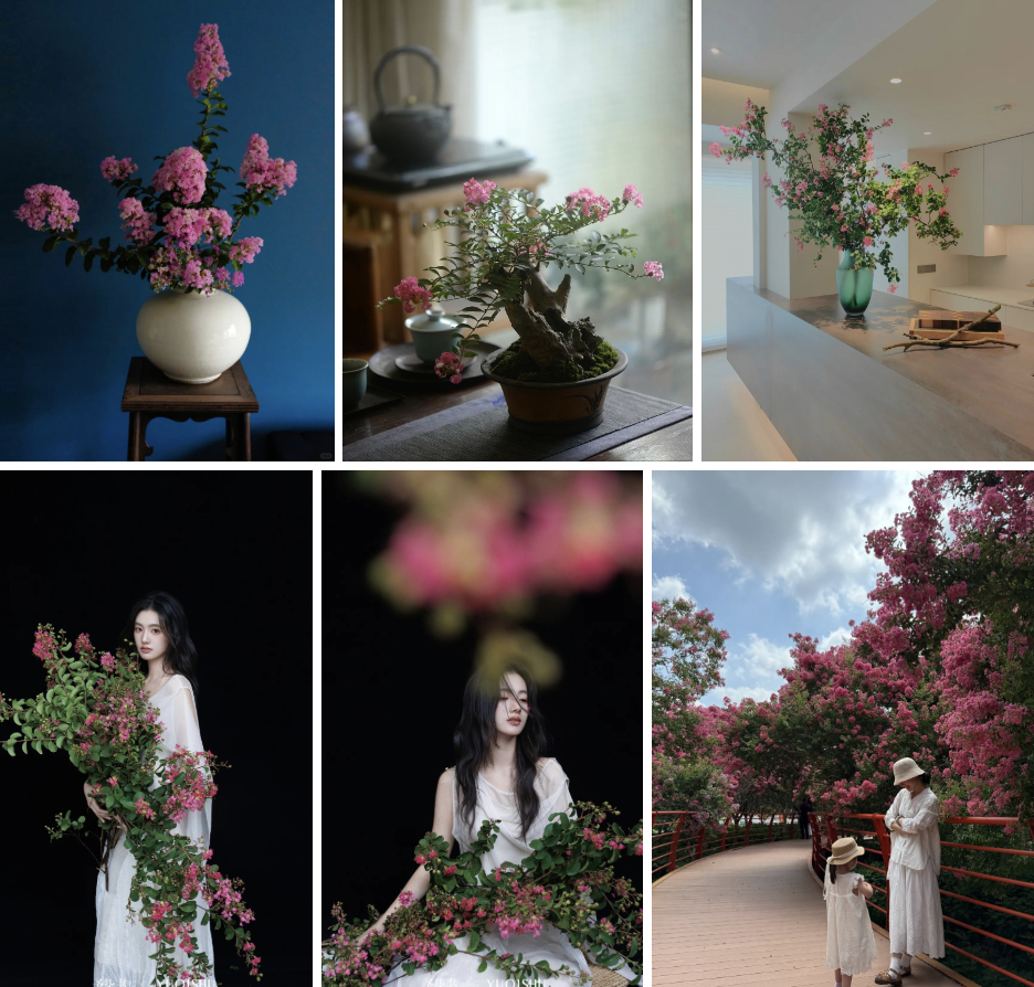 Mùa hoa này qua rồi, tôi cứ tiếc mãi: Chưng một bình trong nhà, phúc khí như tràn đầy, mọi sự an yên bền lâu- Ảnh 6.