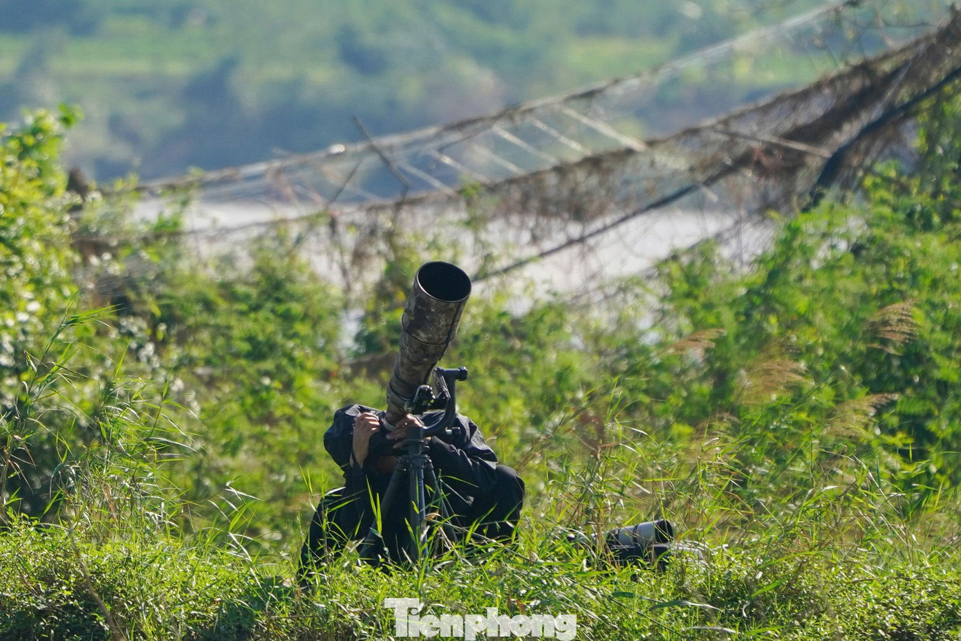 Loài chim được mệnh danh là ‘nhà du hành vĩ đại của bầu trời’ ghé thăm Hà Nội- Ảnh 11.