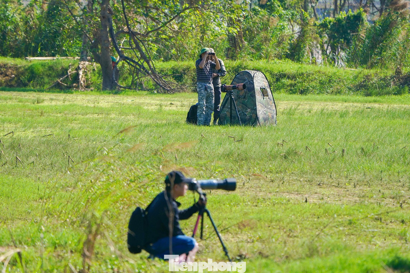 Loài chim được mệnh danh là ‘nhà du hành vĩ đại của bầu trời’ ghé thăm Hà Nội- Ảnh 10.