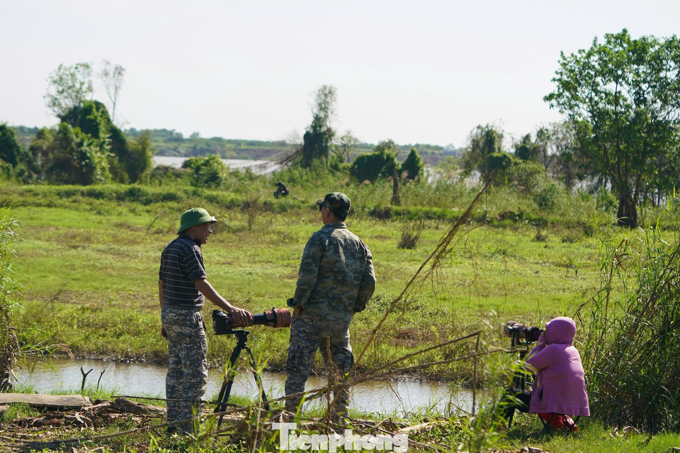 Loài chim được mệnh danh là ‘nhà du hành vĩ đại của bầu trời’ ghé thăm Hà Nội- Ảnh 12.