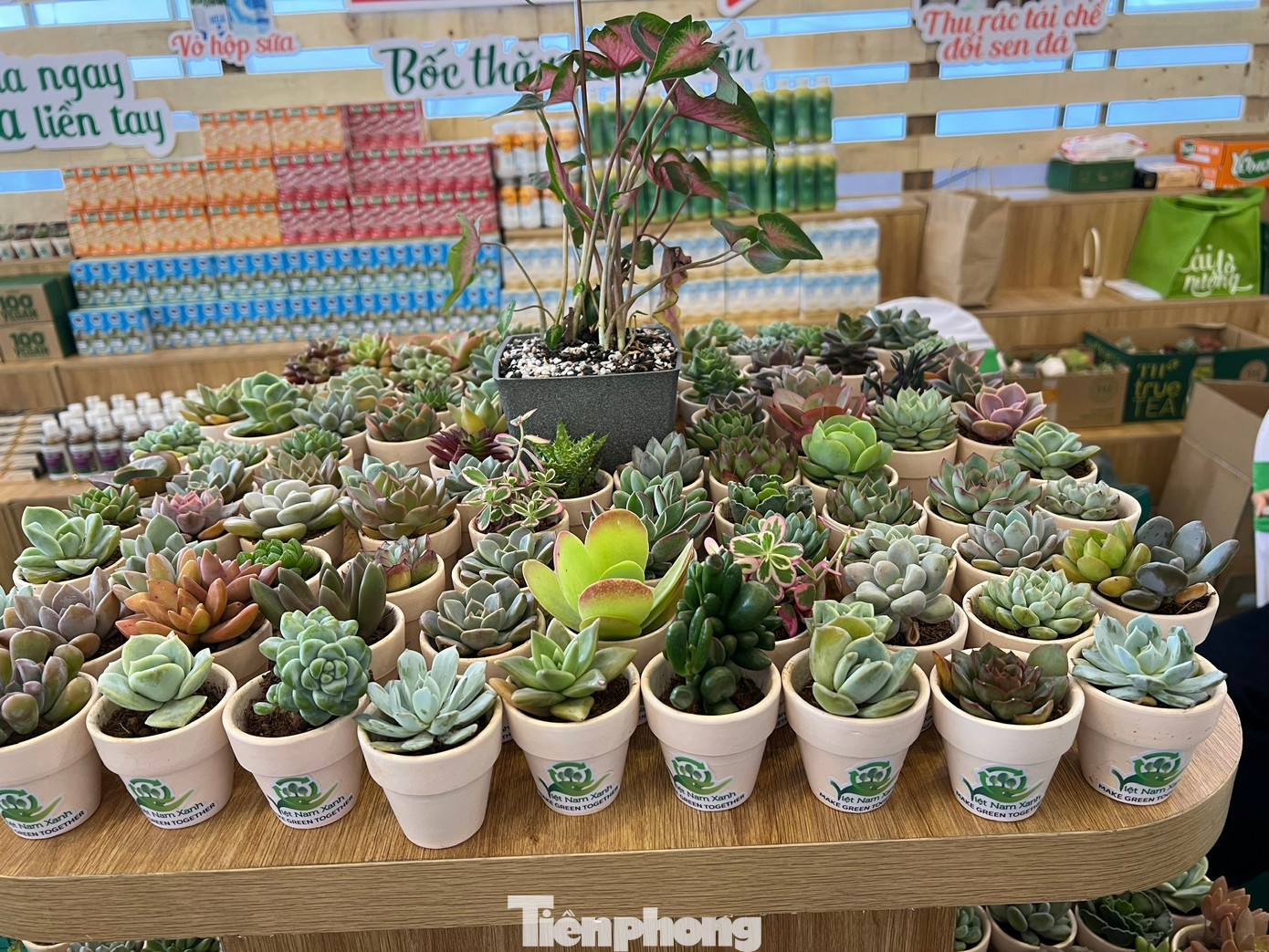 Người dân TPHCM háo hức ‘đổi rác lấy quà’- Ảnh 15.