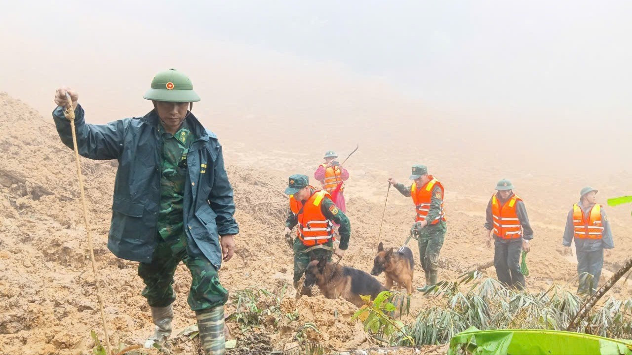 Đưa cảnh khuyển tìm kiếm người mất tích trong vụ sạt lở kinh hoàng ở Đà Nẵng- Ảnh 6.