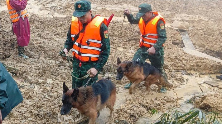 Đưa cảnh khuyển tìm kiếm người mất tích trong vụ sạt lở kinh hoàng ở Đà Nẵng- Ảnh 5.