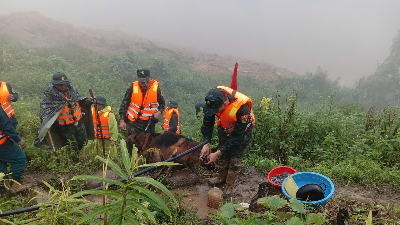 Đưa cảnh khuyển tìm kiếm người mất tích trong vụ sạt lở kinh hoàng ở Đà Nẵng- Ảnh 7.