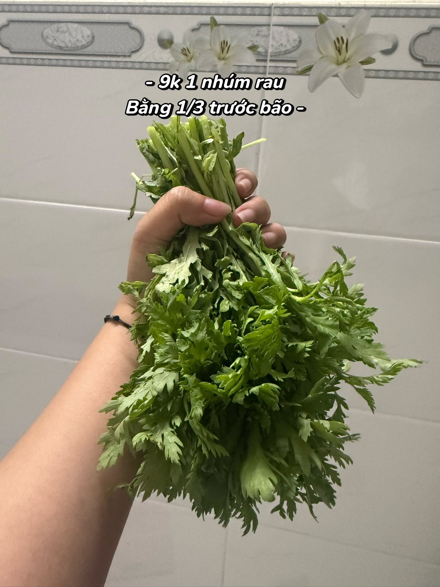 Giá rau hot nhất lúc này- Ảnh 4. Giá rau hot nhất lúc này- Ảnh 4.