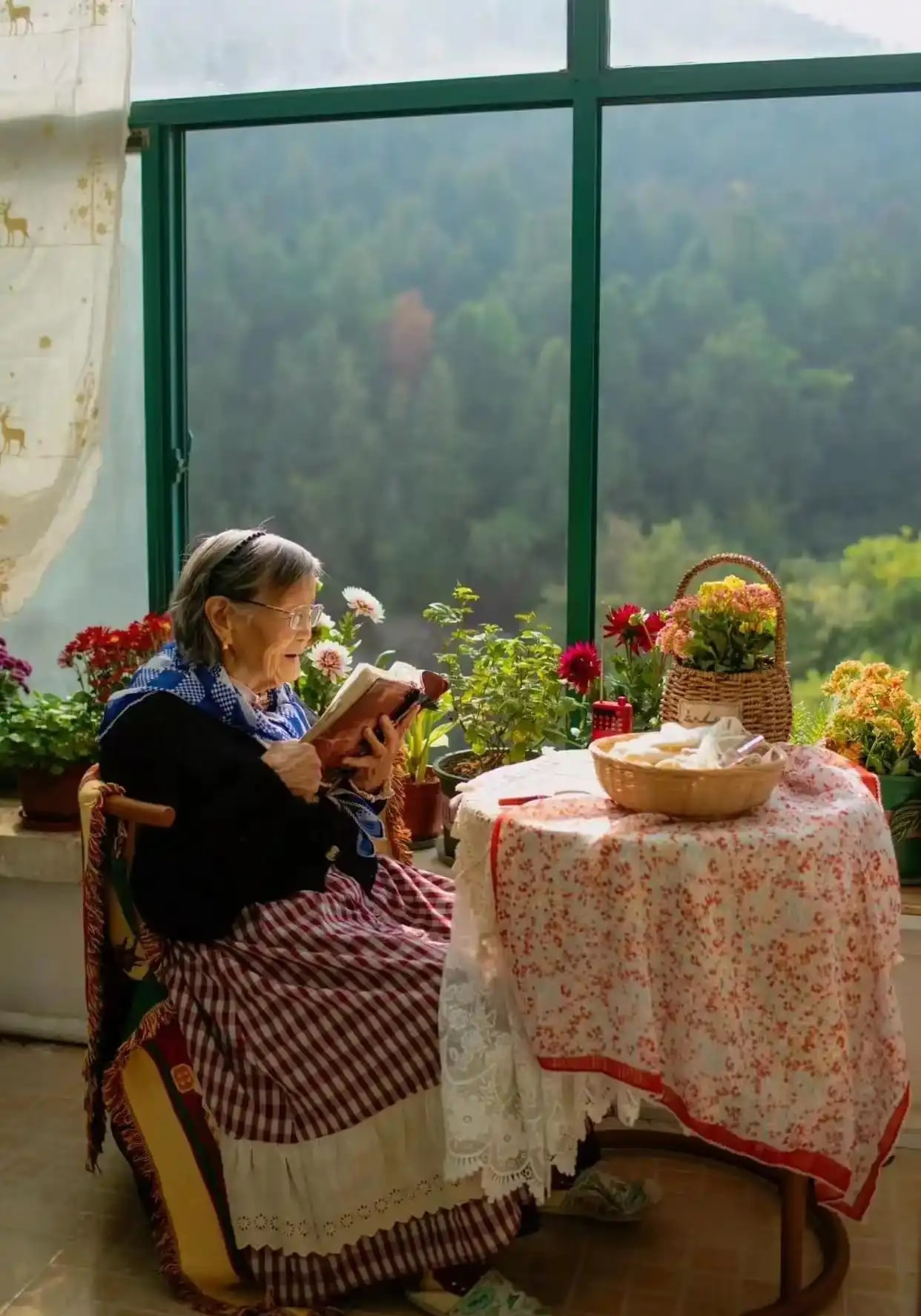 Ngôi nhà của bà cụ 92 tuổi gây xúc động: Như bước ra từ hoạt hình Ghibli, góc nào cũng chữa lành- Ảnh 4. Ngôi nhà của bà cụ 92 tuổi gây xúc động: Như bước ra từ hoạt hình Ghibli, góc nào cũng chữa lành- Ảnh 4.