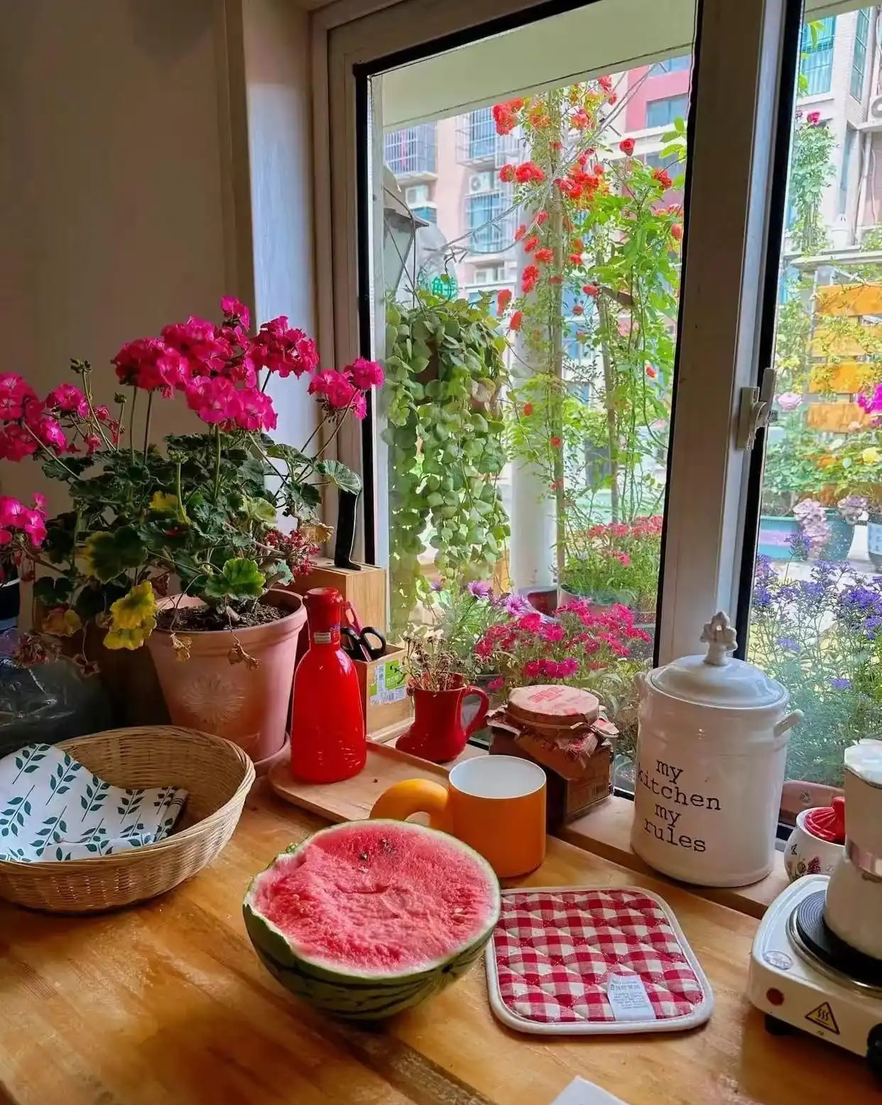 Ngôi nhà của bà cụ 92 tuổi gây xúc động: Như bước ra từ hoạt hình Ghibli, góc nào cũng chữa lành- Ảnh 8. Ngôi nhà của bà cụ 92 tuổi gây xúc động: Như bước ra từ hoạt hình Ghibli, góc nào cũng chữa lành- Ảnh 8.