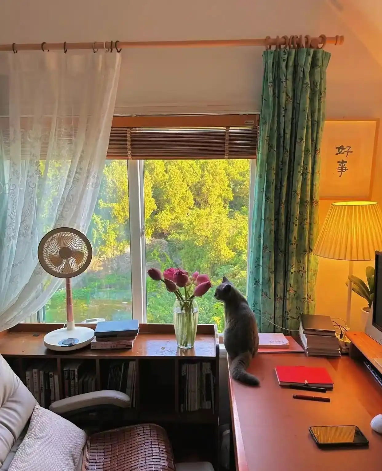 Ngôi nhà của bà cụ 92 tuổi gây xúc động: Như bước ra từ hoạt hình Ghibli, góc nào cũng chữa lành- Ảnh 17. Ngôi nhà của bà cụ 92 tuổi gây xúc động: Như bước ra từ hoạt hình Ghibli, góc nào cũng chữa lành- Ảnh 17.