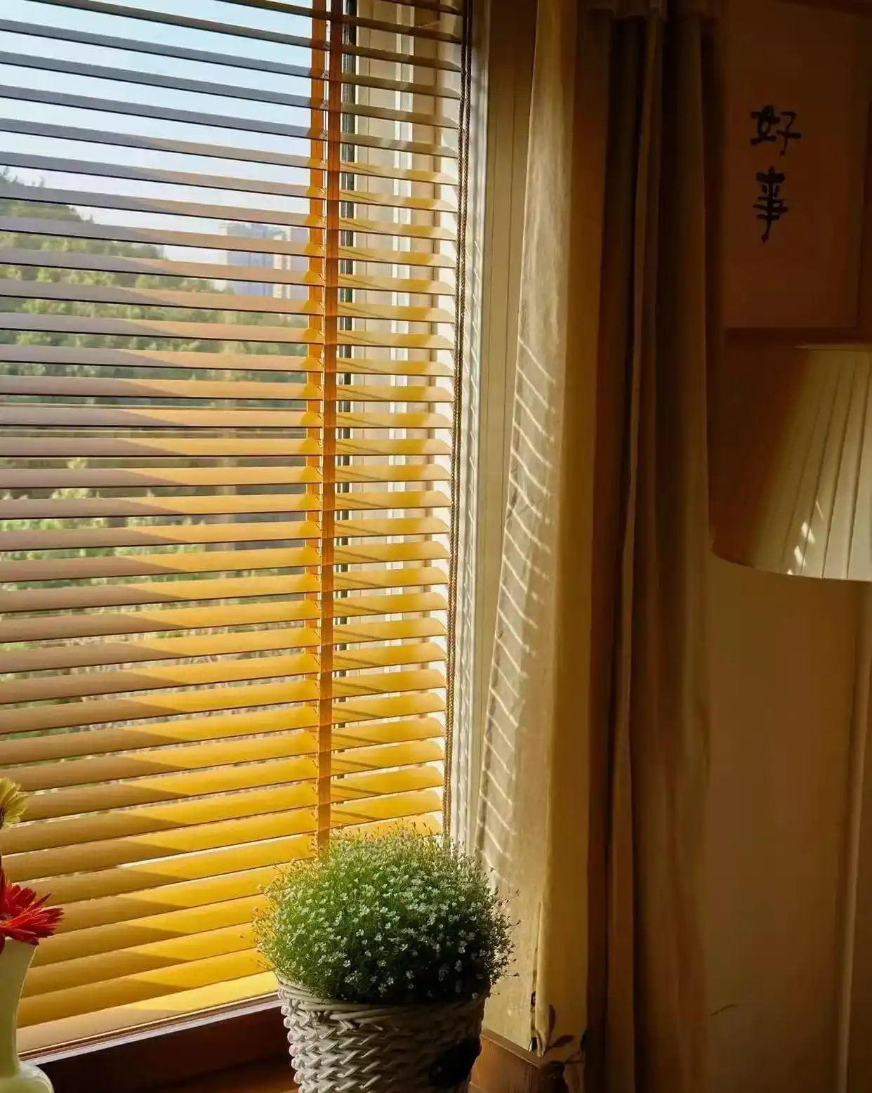 Ngôi nhà của bà cụ 92 tuổi gây xúc động: Như bước ra từ hoạt hình Ghibli, góc nào cũng chữa lành- Ảnh 18. Ngôi nhà của bà cụ 92 tuổi gây xúc động: Như bước ra từ hoạt hình Ghibli, góc nào cũng chữa lành- Ảnh 18.