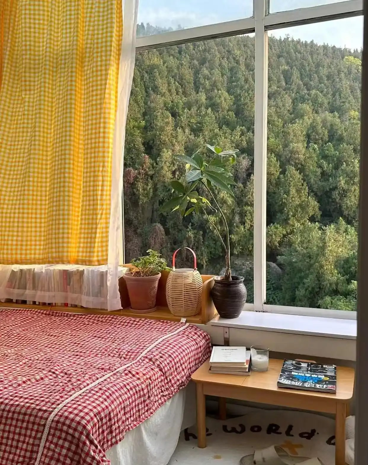 Ngôi nhà của bà cụ 92 tuổi gây xúc động: Như bước ra từ hoạt hình Ghibli, góc nào cũng chữa lành- Ảnh 20. Ngôi nhà của bà cụ 92 tuổi gây xúc động: Như bước ra từ hoạt hình Ghibli, góc nào cũng chữa lành- Ảnh 20.