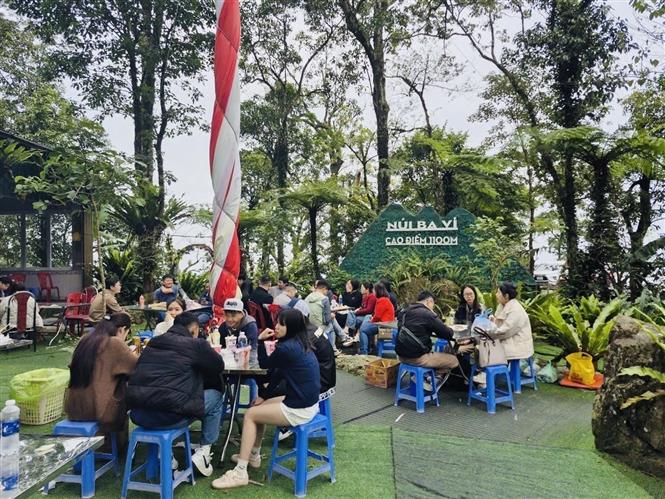 Vườn quốc gia Ba Vì thu hút du khách ngắm hoa dã quỳ nở rộ- Ảnh 2. Vườn quốc gia Ba Vì thu hút du khách ngắm hoa dã quỳ nở rộ- Ảnh 2.