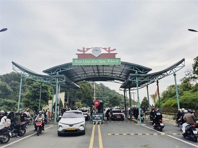 Vườn quốc gia Ba Vì thu hút du khách ngắm hoa dã quỳ nở rộ- Ảnh 4. Vườn quốc gia Ba Vì thu hút du khách ngắm hoa dã quỳ nở rộ- Ảnh 4.