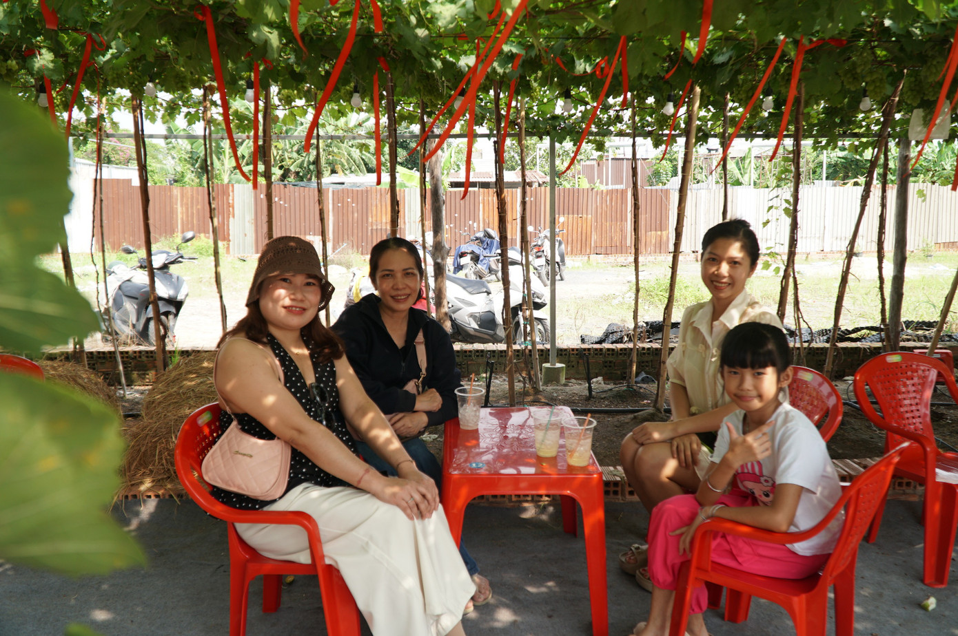 Uống cà phê xem cừu giữa vườn nho trĩu quả ở TPHCM- Ảnh 2.