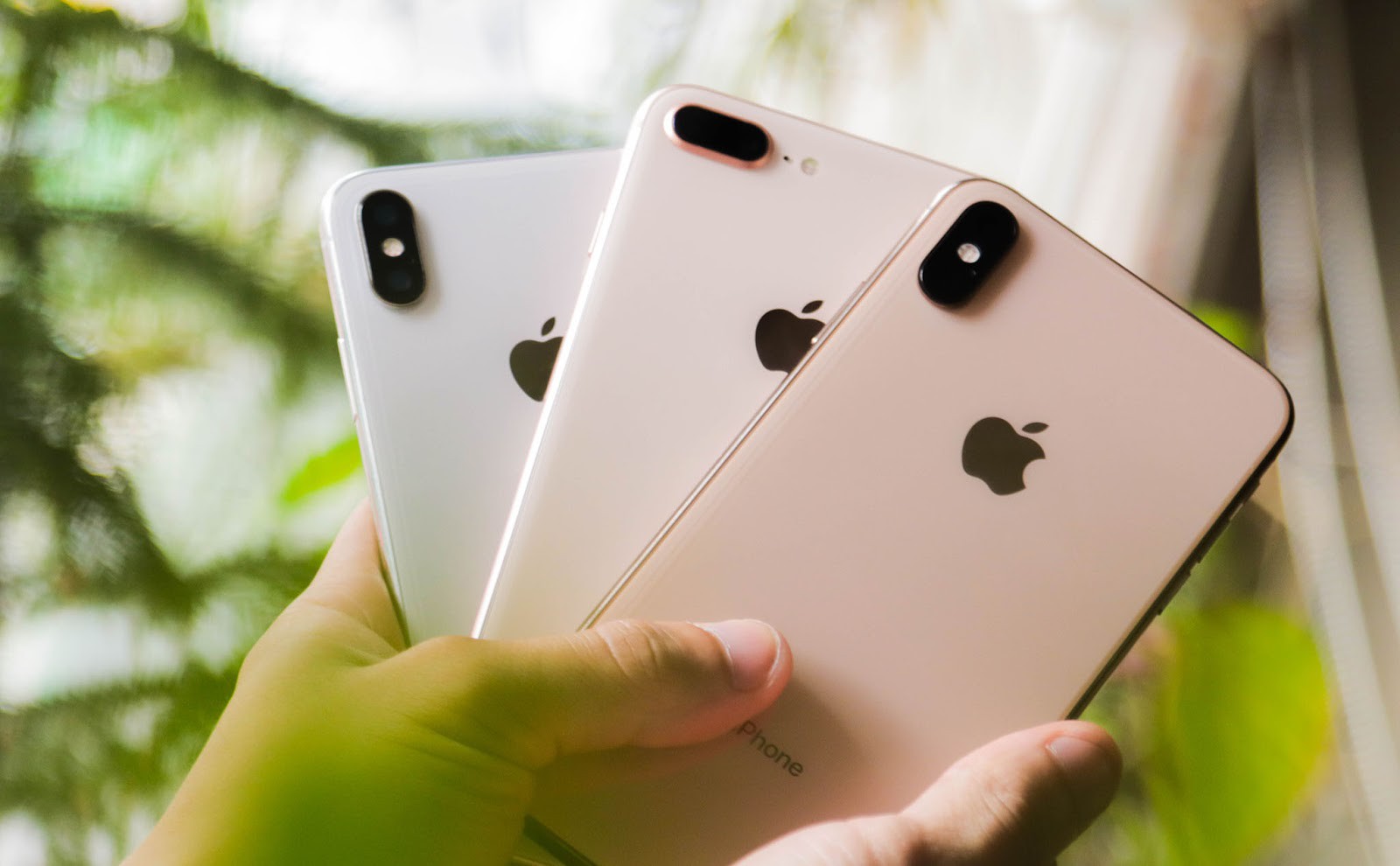8 mẫu iPhone dù có rẻ đến đâu cũng không nên mua lúc này- Ảnh 1. 8 mẫu iPhone dù có rẻ đến đâu cũng không nên mua lúc này- Ảnh 1.