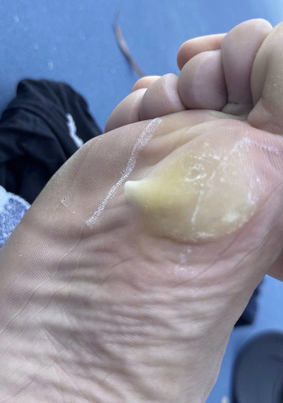 Từ thất vọng của PPA Úc mới thấy Việt Nam là Từ thất vọng của PPA Úc mới thấy Việt Nam là