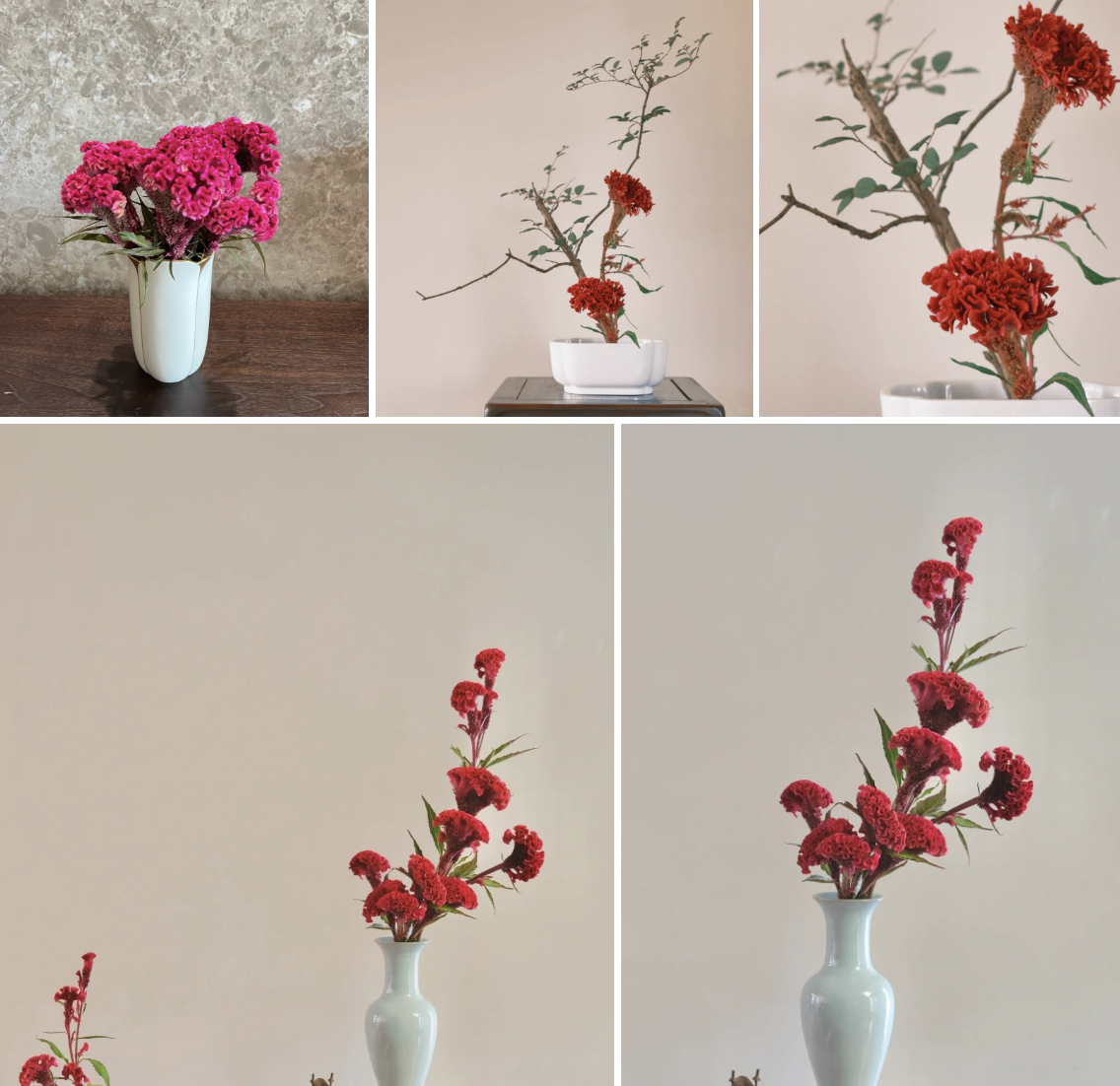 Hoa mào gà: Tưởng quê mùa mà cắm lên lại sang rực rỡ, chơi Tết đẹp mê và hút phú quý vào nhà- Ảnh 6.