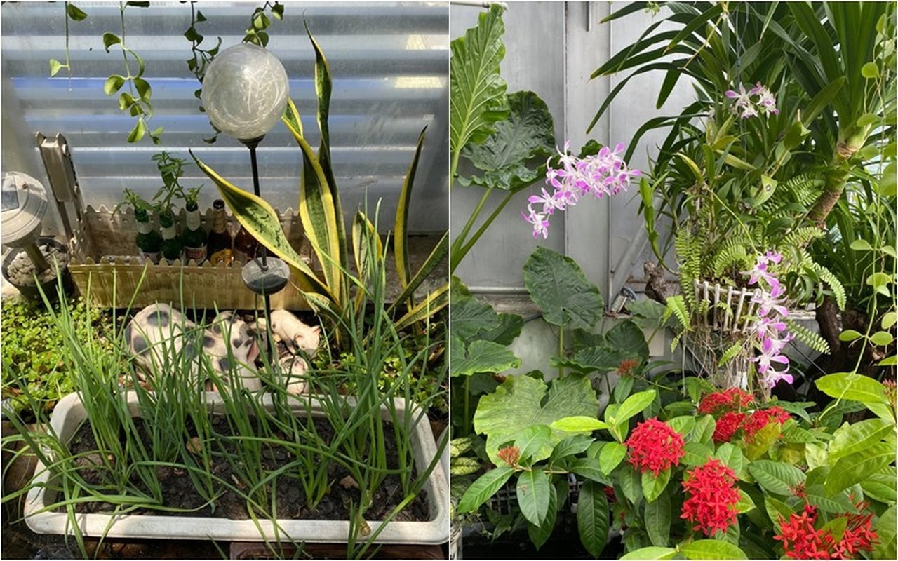 Bên trong ngôi nhà Bên trong ngôi nhà