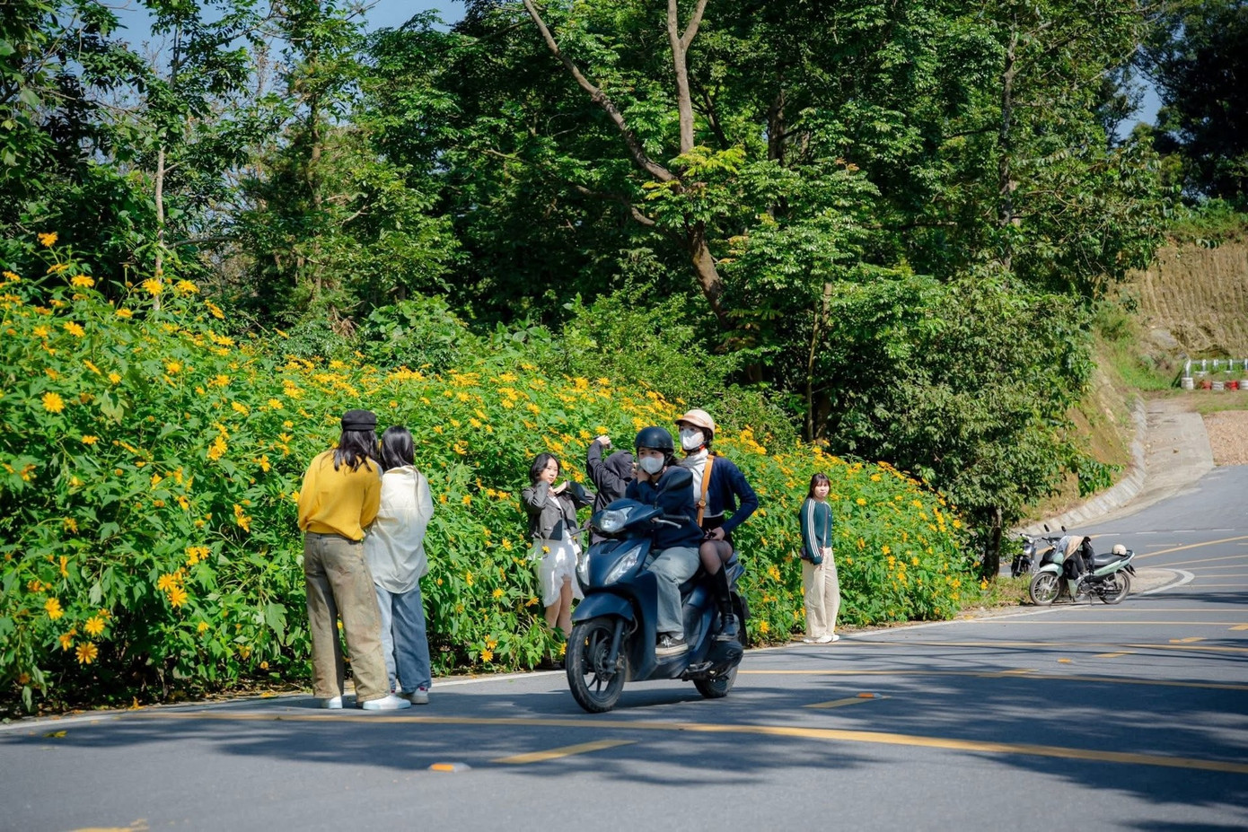 Hơn 13.000 người đổ xô tới Ba Vì ngắm hoa dã quỳ trong buổi sáng, ùn tắc kéo dài- Ảnh 4.