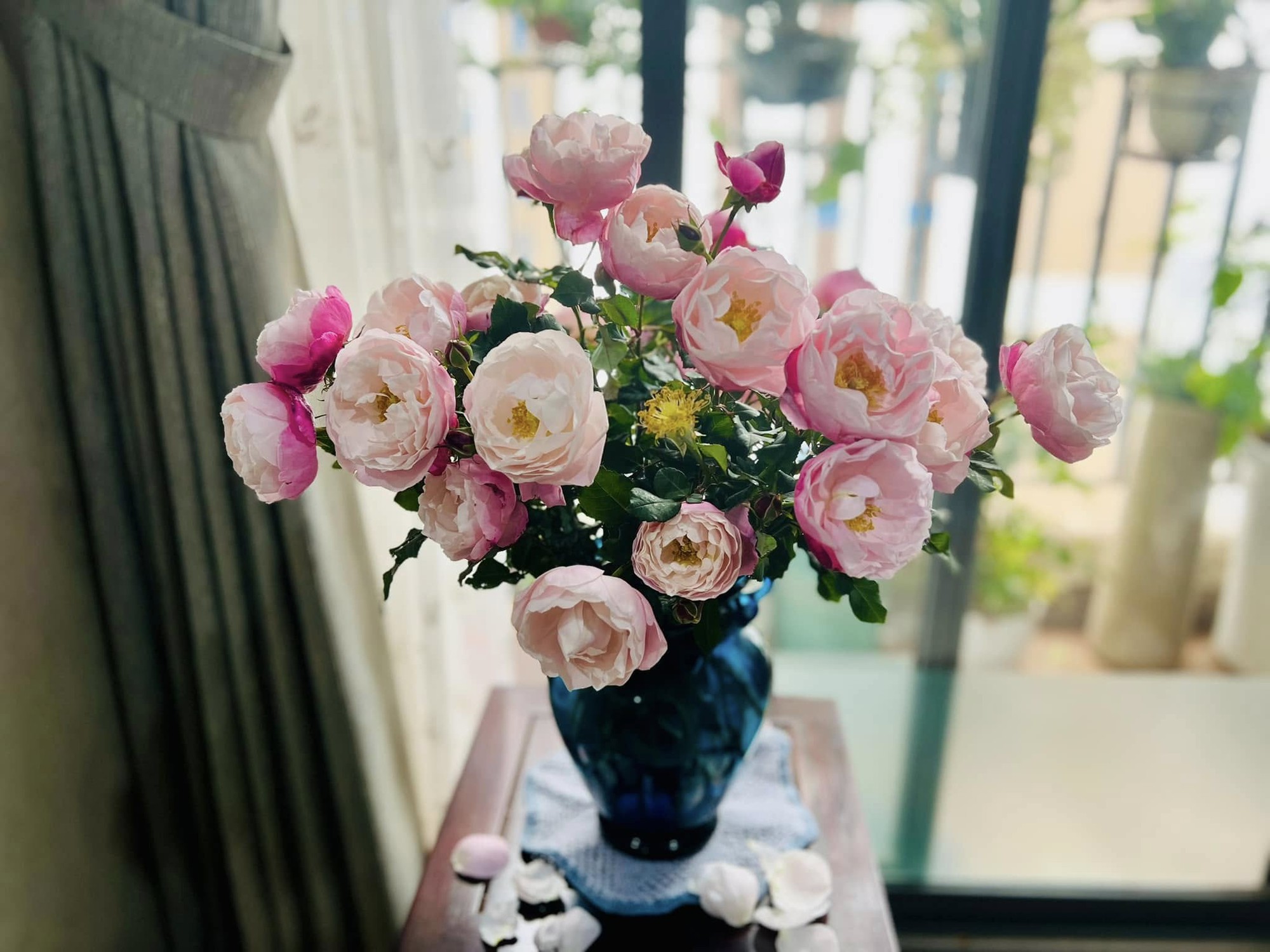 Tài sản hiếm có của MC Diễm Quỳnh ở tuổi 53- Ảnh 6. Tài sản hiếm có của MC Diễm Quỳnh ở tuổi 53- Ảnh 6.