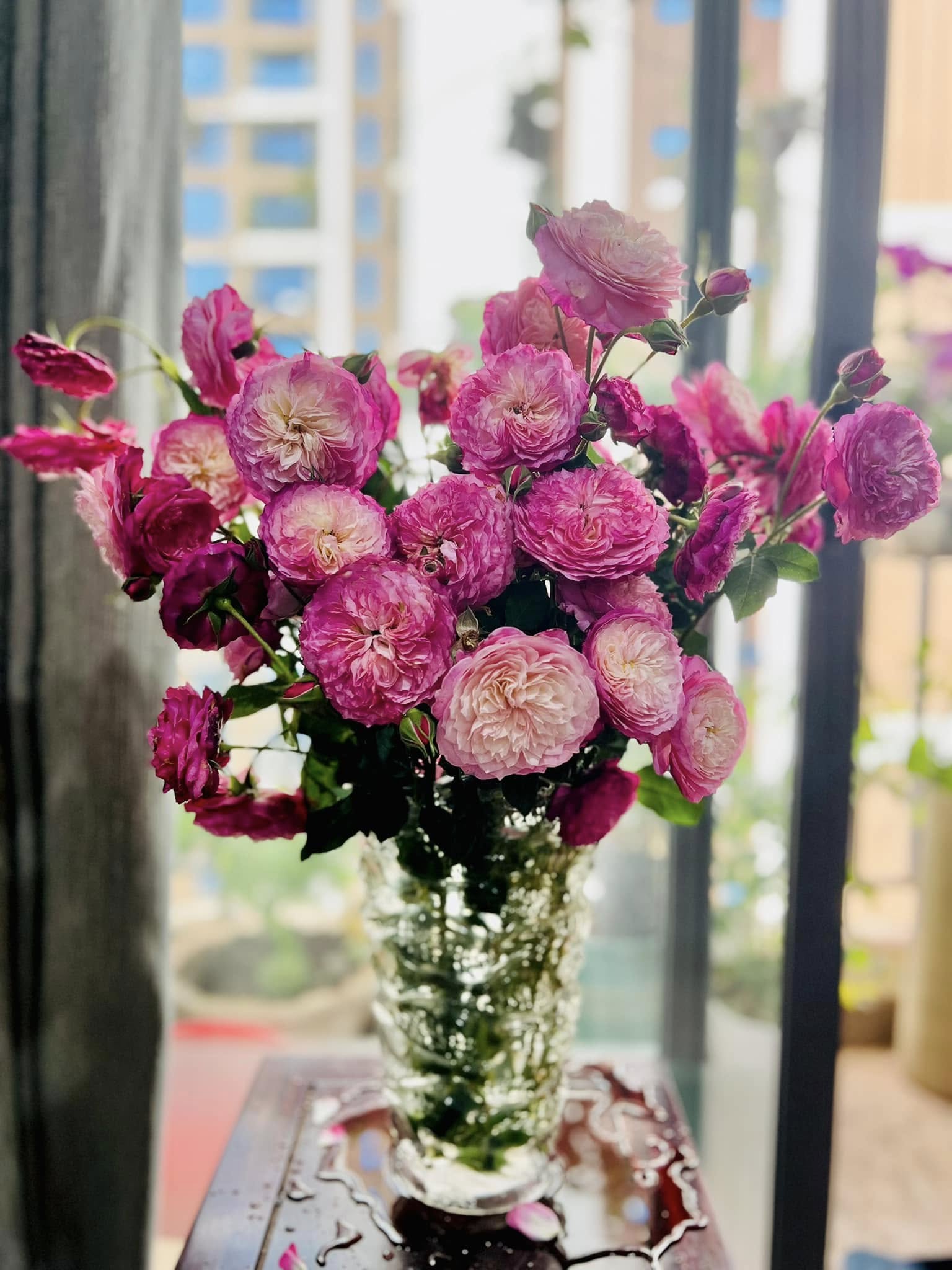 Tài sản hiếm có của MC Diễm Quỳnh ở tuổi 53- Ảnh 10. Tài sản hiếm có của MC Diễm Quỳnh ở tuổi 53- Ảnh 10.