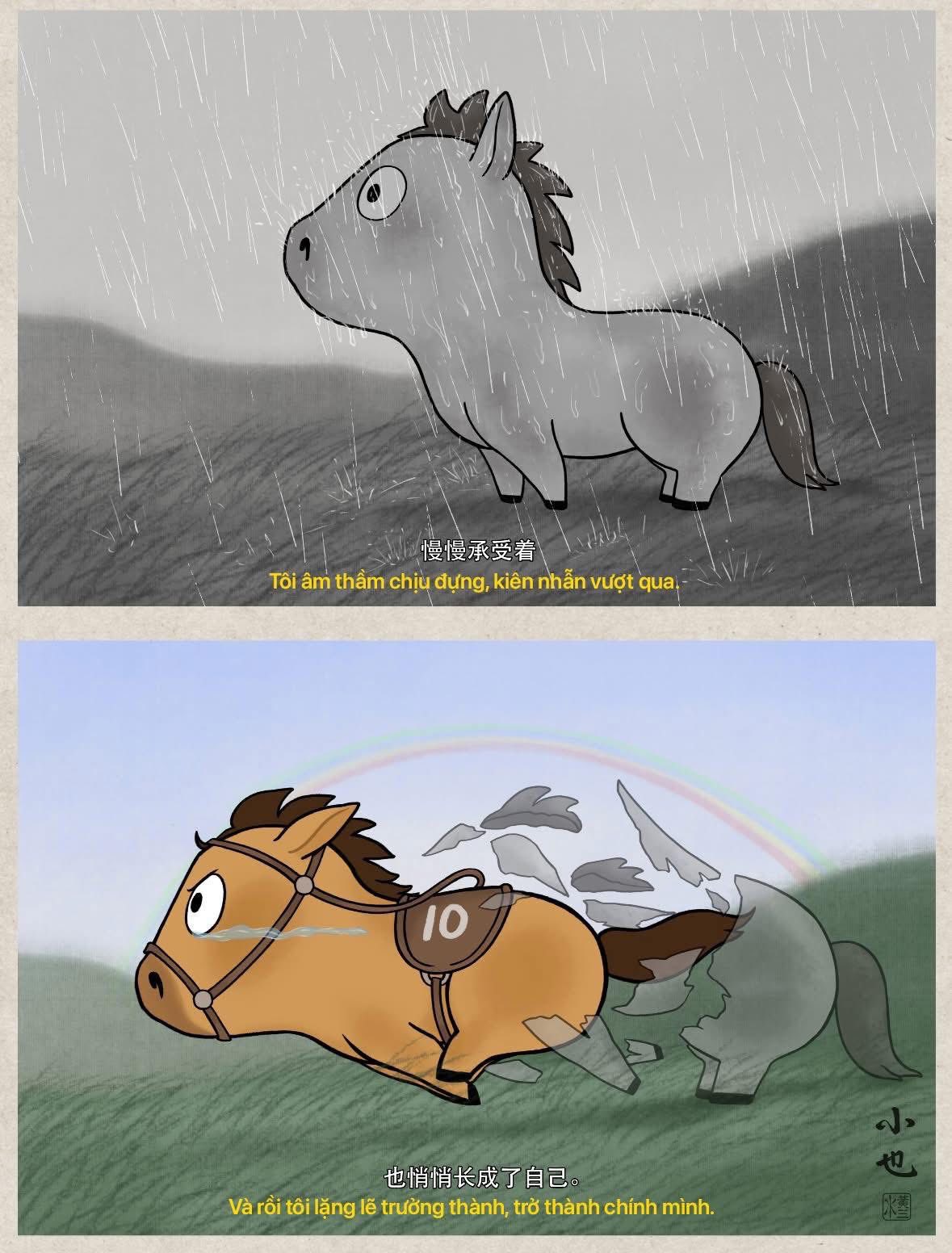 "Tài sản" lớn nhất của chú ngựa Mã Tiểu Dã- Ảnh 2. "Tài sản" lớn nhất của chú ngựa Mã Tiểu Dã- Ảnh 2.