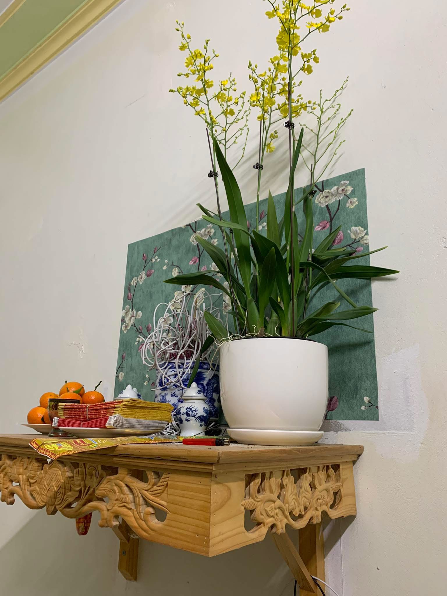 Đặt chậu hoa lên bàn thờ: Đẹp hay đại kỵ? Chuyên gia nói câu này khiến ai cũng giật mình- Ảnh 1.