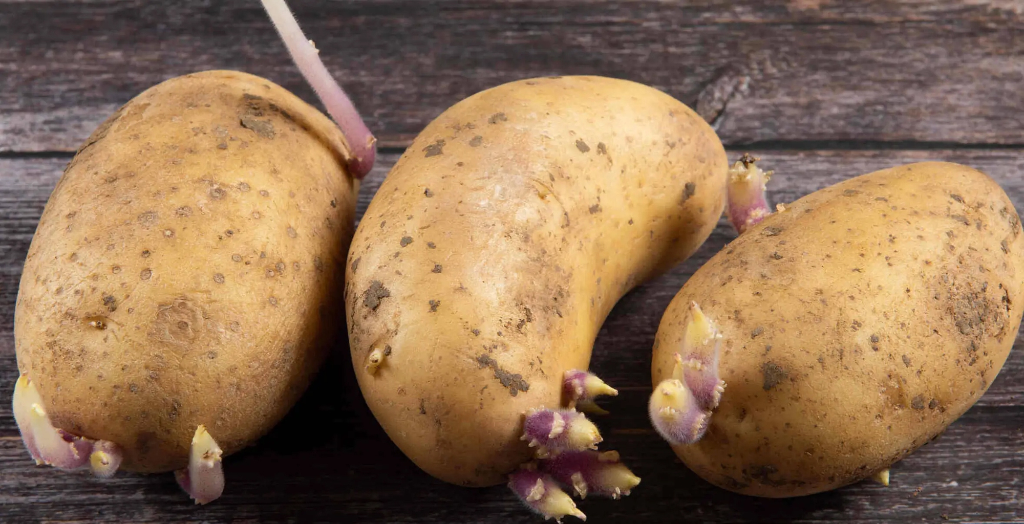 Sai lầm ai cũng mắc: Không phải thức ăn thừa mà 5 loại thực phẩm này mới là "kẻ giết người thầm lặng" trong bếp!- Ảnh 1.