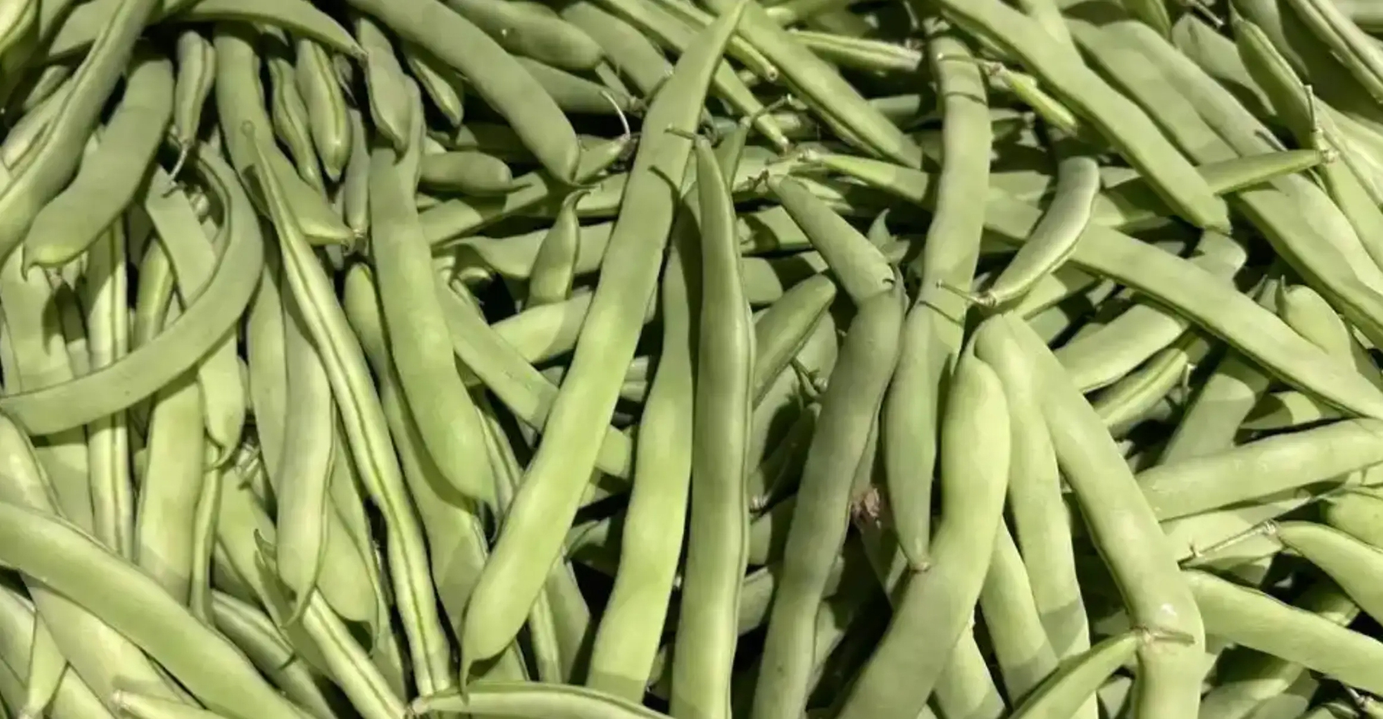 Sai lầm ai cũng mắc: Không phải thức ăn thừa mà 5 loại thực phẩm này mới là "kẻ giết người thầm lặng" trong bếp!- Ảnh 2.